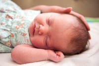 Baby Alice ~ Newborn Portrait